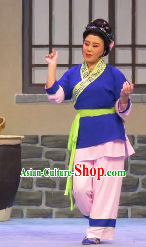Chinese Ping Opera Country Woman Apparels Costumes and Headpieces Legend of Love Traditional Pingju Opera Diva Dress Garment
