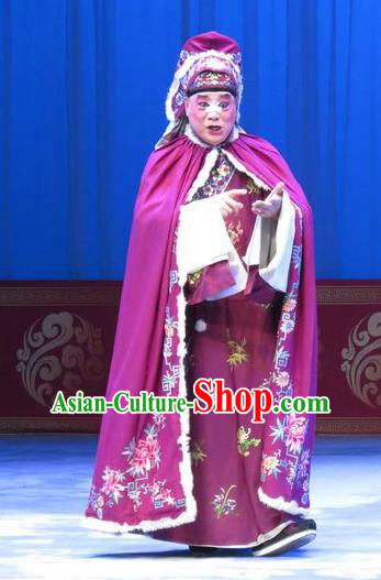 The Beautiful Courtesan Chinese Ping Opera Sun Fu Costumes and Headwear Pingju Opera Merchant Apparels Clothing