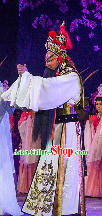 Ru Ji Chinese Peking Opera Lord Garment Costumes and Headwear Beijing Opera Laosheng Apparels Elderly Male King Wei Wuji Clothing