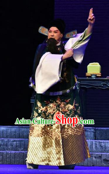 Qing Tian Dao Chinese Peking Opera Garment Costumes and Headwear Beijing Opera Elderly Male Apparels Loyal Official Hai Rui Clothing