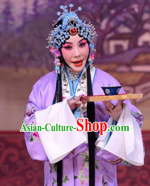 Chinese Beijing Opera Hua Tan Apparels Liu Lanzhi Costumes and Headpieces Traditional Peking Opera Tsing Yi Purple Dress Actress Garment