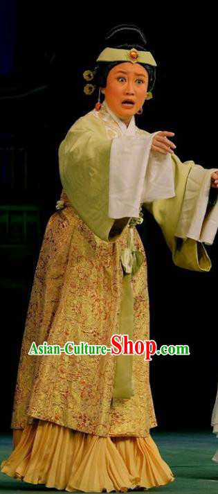 Chinese Beijing Opera Elderly Female Apparels Love of Guan Yin Costumes and Headdress Traditional Peking Opera Pantaloon Dress Laodan Garment