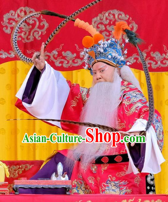Zhu Lian Zhai Chinese Peking Opera Laosheng Apparels Costumes and Headpieces Beijing Opera Elderly Male Garment King Li Keyong Clothing