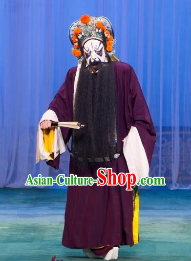 Zhou Ren Xian Sao Chinese Peking Opera Painted Role Apparels Costumes and Headpieces Beijing Opera Minister Garment Official Yan Song Clothing