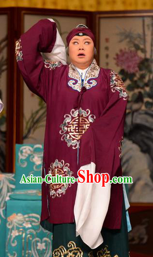Chinese Beijing Opera Laodan Garment Snow in June Costumes and Hair Accessories Traditional Peking Opera Pantaloon Dress Dame Apparels