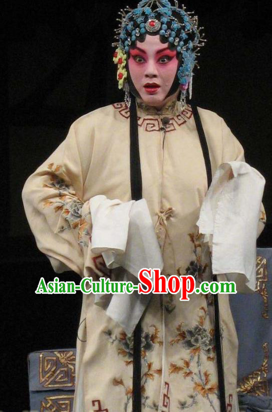 Chinese Beijing Opera Young Lady Garment Snow in June Costumes and Hair Accessories Traditional Peking Opera Actress Dress Dou E Apparels