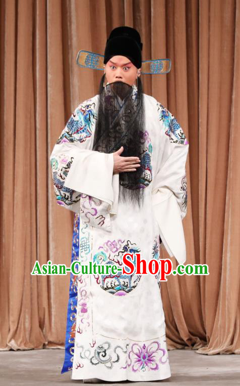Yi Peng Xue Chinese Peking Opera Elderly Male Apparels Costumes and Headpieces Beijing Opera Laosheng Garment Official Mo Huaigu Clothing