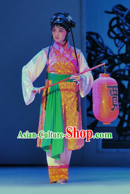 Chinese Sichuan Opera Maid Lady Garment Costumes and Hair Accessories Traditional Peking Opera Xiaodan Xue Baochai Dress Servant Girl Apparels