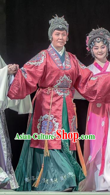 Chinese Sichuan Opera Pantaloon Garment Costumes and Hair Accessories Bao En Ji Traditional Peking Opera Laodan Dress Elderly Female Apparels