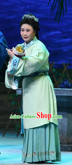 Chinese Beijing Opera Dame Wang Apparels Costumes and Headpieces Traditional Peking Opera Elderly Female Dress Garment