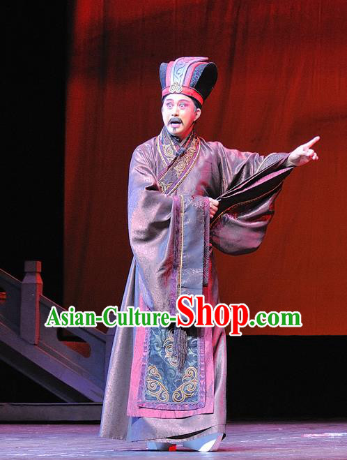 Xi Zhao Qi Shan Chinese Sichuan Opera Official Apparels Costumes and Headpieces Peking Opera Minister Garment Clothing