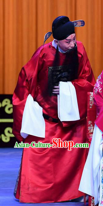 Yu Bei Pavilion Chinese Peking Opera Minister Laosheng Garment Costumes and Headwear Beijing Opera Elderly Official Robe Apparels Clothing