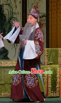 Yu Bei Pavilion Chinese Peking Opera Old Gentleman Garment Costumes and Headwear Beijing Opera Landlord Apparels Clothing