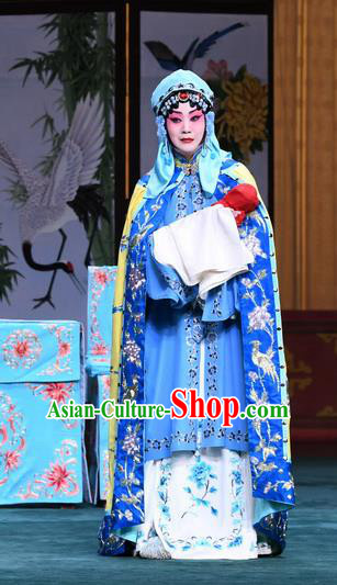 Chinese Beijing Opera Tsing Yi Apparels Costumes and Headdress Sacrifice Zhao Shi Gu Er Traditional Peking Opera Distress Female Zhuang Ji Dress Garment