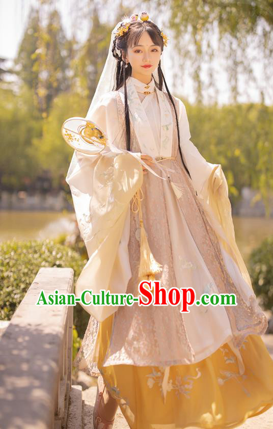 Traditional Chinese Ming Dynasty Royal Princess Historical Costumes Ancient Noble Female Embroidered Hanfu Dress Apparels