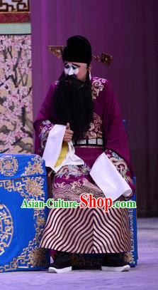 Kangxi Dadi Chinese Peking Opera Laosheng Garment Costumes and Headwear Beijing Opera Treacherous Official Fei Wuji Apparels Clothing