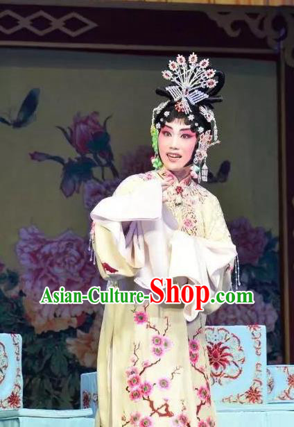 Chinese Beijing Opera Young Female Apparels Costumes and Headdress Han Ming Fei Traditional Peking Opera Actress Wang Zhaojun Dress Hua Tan Garment