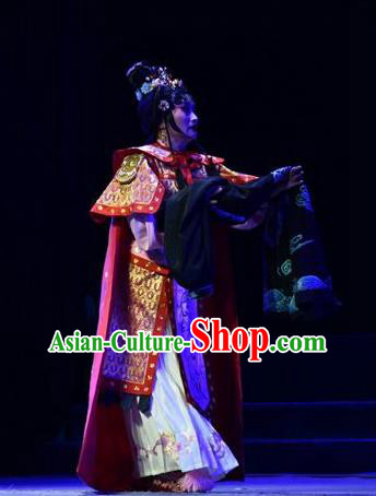Chinese Jin Opera Woman Swordsman Garment Costumes and Headdress Fenyang King Traditional Shanxi Opera Martial Female Apparels Dress