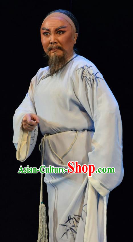 He Qing Hai Yan Chinese Shanxi Opera Qing Dynasty Elderly Male Apparels Costumes and Headpieces Traditional Jin Opera Garment Scholar Li Yumei Clothing