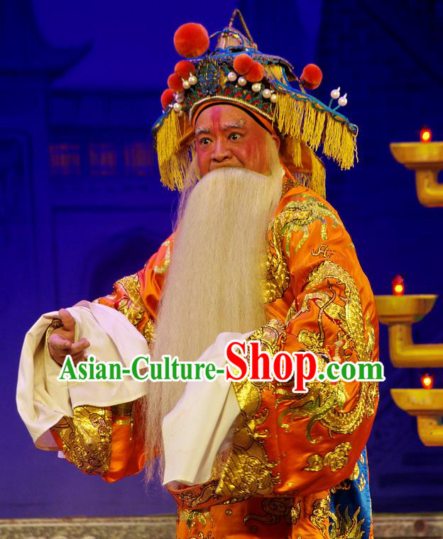 Chinese Guangdong Opera Elderly Male Wu Zixu Apparels Costumes and Headpieces Traditional Cantonese Opera Laosheng Garment Duke Clothing