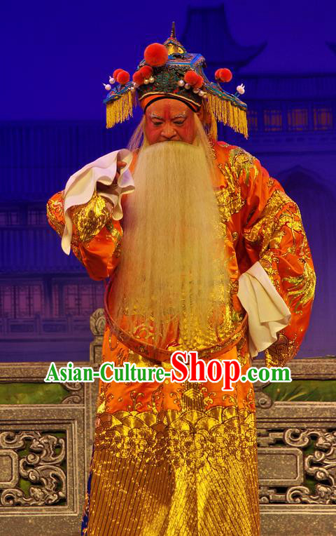 Chinese Guangdong Opera Elderly Male Wu Zixu Apparels Costumes and Headpieces Traditional Cantonese Opera Laosheng Garment Duke Clothing