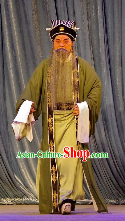 Qian Tang Su Xiaoxiao Chinese Guangdong Opera Laosheng Apparels Costumes and Headpieces Traditional Cantonese Opera Elderly Male Garment Landlord Clothing