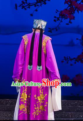 The Romance of Hairpin Chinese Guangdong Opera Laosheng Apparels Costumes and Headpieces Traditional Cantonese Opera Landlord Garment Elderly Male Clothing