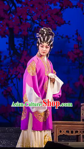 Chinese Cantonese Opera Rich Female Garment The Romance of Hairpin Costumes and Headdress Traditional Guangdong Opera Dame Apparels Landlord Shiva Dress