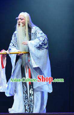 King of Nanyue Kingdom Chinese Guangdong Opera Elderly Male Apparels Costumes and Headpieces Traditional Cantonese Opera Laosheng Garment Duke Zhao Tuo Clothing