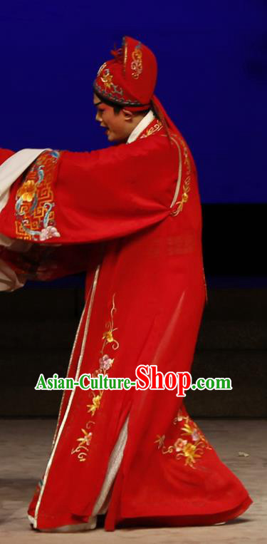 The Lotus Lantern Chinese Guangdong Opera Young Male Apparels Costumes and Headpieces Traditional Cantonese Opera Scholar Liu Yanchang Garment Niche Red Clothing