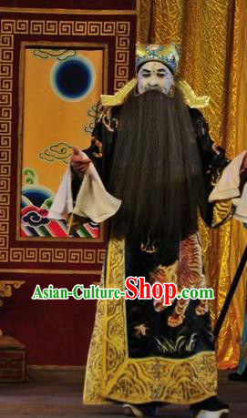Shi Zou Yan Song Chinese Guangdong Opera Treacherous Official Apparels Costumes and Headwear Traditional Cantonese Opera Laosheng Garment Elderly Male Clothing