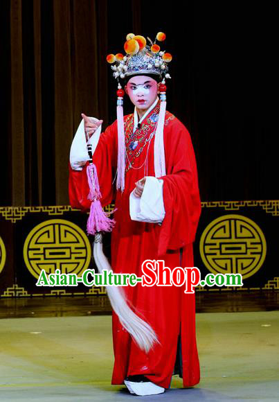 Chinese Sichuan Opera Eunuch Guo Huai Apparels Costumes and Headpieces Peking Opera Highlights Clown Garment Court Servant Clothing