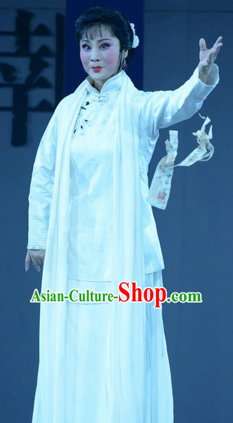 Chinese Hebei Clapper Opera Diva Liu Xikui Garment Costumes and Headdress Bei Guo Jia Ren Traditional Bangzi Opera Hua Tan Dress Actress Apparels
