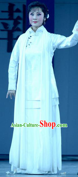 Chinese Hebei Clapper Opera Diva Liu Xikui Garment Costumes and Headdress Bei Guo Jia Ren Traditional Bangzi Opera Hua Tan Dress Actress Apparels