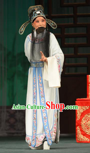 Taibai Drunk Write Chinese Bangzi Opera Scholar Li Bai Apparels Costumes and Headpieces Traditional Hebei Clapper Imperial Academy Poet Garment Elderly Male Clothing