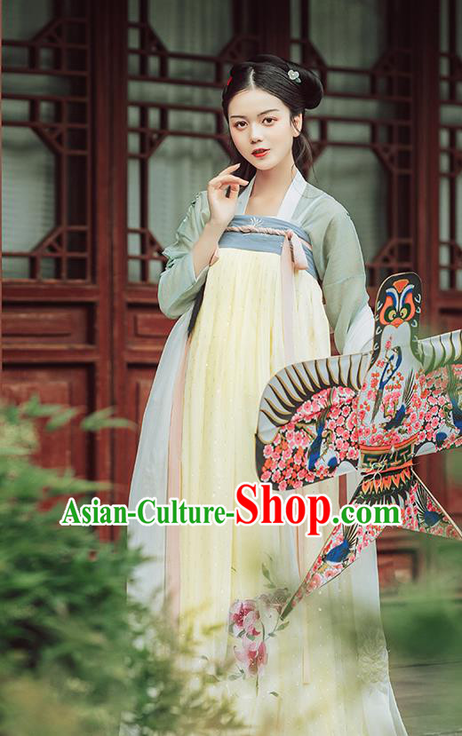 Traditional Chinese Tang Dynasty Palace Lady Costumes Ancient Court Maid Embroidered Blouse and Skirt Hanfu Dress Full Set