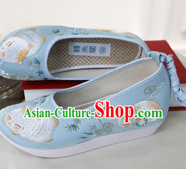 Chinese Ancient Princess Shoes Embroidered Blue Shoes Traditional Ming Dynasty Shoes