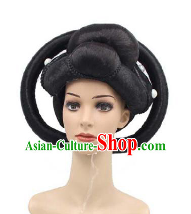 Chinese Classical Dance Hair Chignon Traditional Tang Dynasty Imperial Consort Wigs Sheath