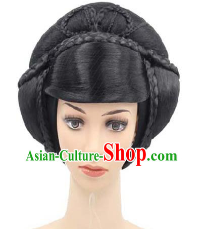 Chinese Traditional Tang Dynasty Imperial Consort Wigs Sheath Classical Dance Hair Chignon Headwear