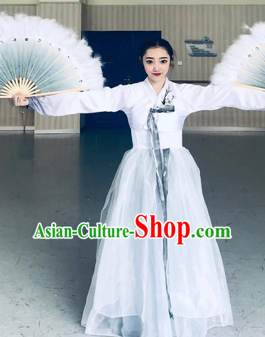 Chinese Classical Dance Clothing Traditional Korean Nationality Dance White Blouse and Dress Complete Set