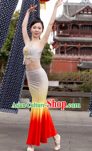 China Traditional Dai Nationality Folk Dance Clothing Ethnic Women Peacock Dance Red Dress Outfits