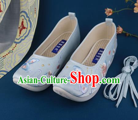 China Traditional Ming Dynasty Shoes Light Blue Shoes National Embroidered Butterfly Shoes