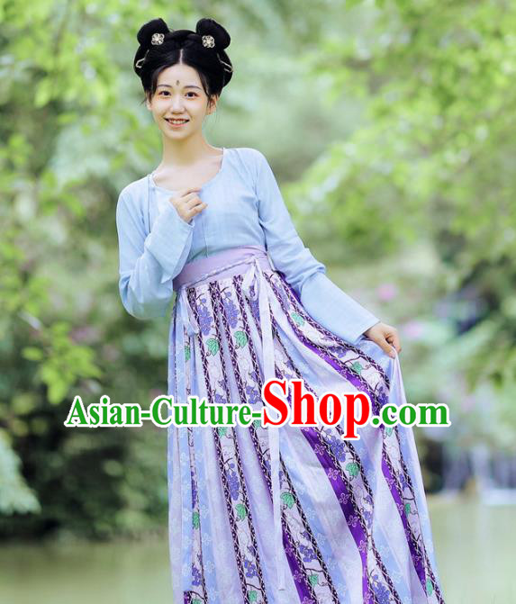 China Traditional Early Tang Dynasty Historical Costumes Ancient Palace Lady Hanfu Apparels Clothing