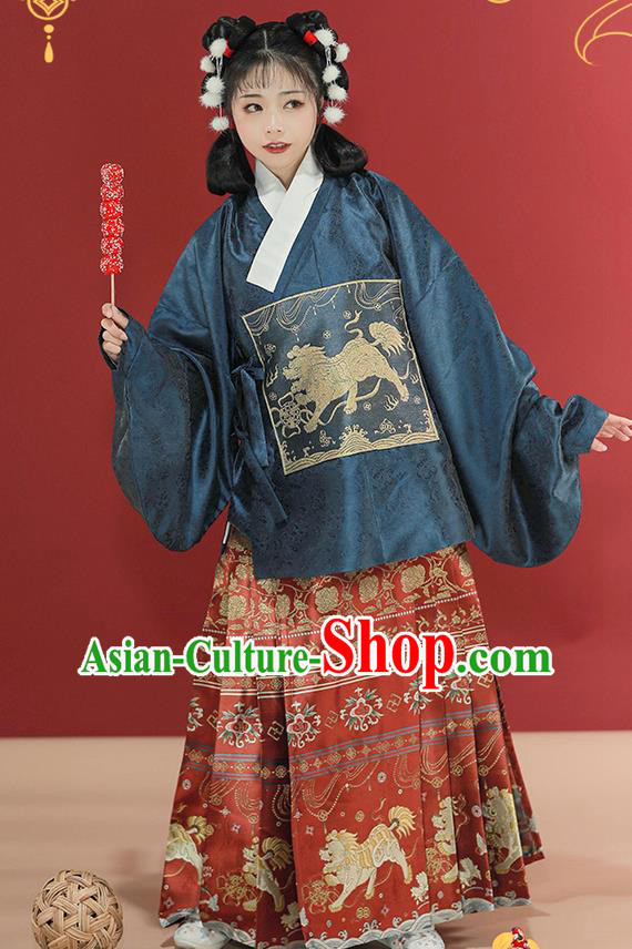 China Traditional Hanfu Dress Embroidered Clothing Ancient Ming Dynasty Winter Historical Costume for Patrician Lady