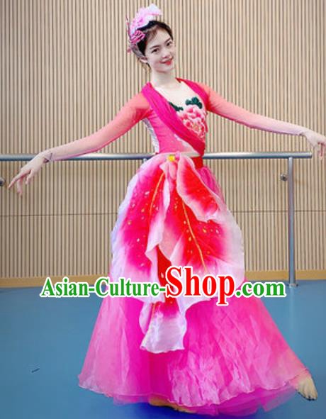 China Modern Dance Costume Opening Dance Stage Performance Rosy Dress