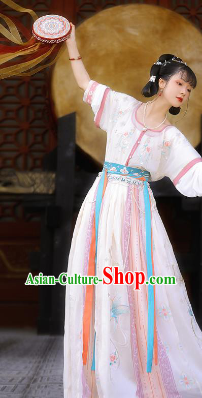 China Ancient Court Princess Historical Clothing Traditional Tang Dynasty Palace Lady Dance Costumes