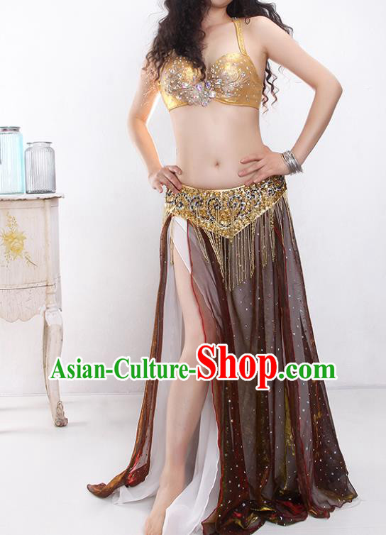 Indian Traditional Belly Dance Performance Outfits Asian Oriental Dance Training Golden Bra and Dark Red Skirt Clothing