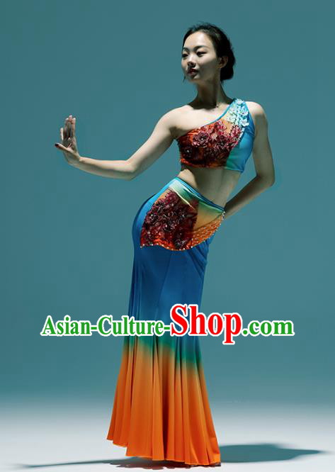 Chinese Traditional Dai Nationality Peacock Dance Dress Yunnan Ethnic Performance Clothing