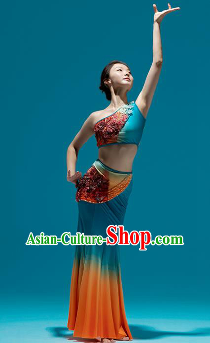 Chinese Traditional Dai Nationality Peacock Dance Dress Yunnan Ethnic Performance Clothing