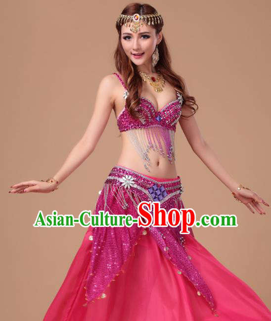 Top Asian Folk Dance Clothing Indian Belly Dance Sexy Bra and Rosy Skirt Uniforms
